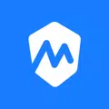 Mobile VPN 2024 Secure VPN
